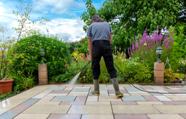 Best Fence Cleaning  in Maury, NC