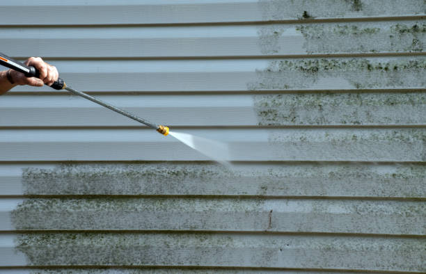 Best Solar Panel Cleaning  in Maury, NC